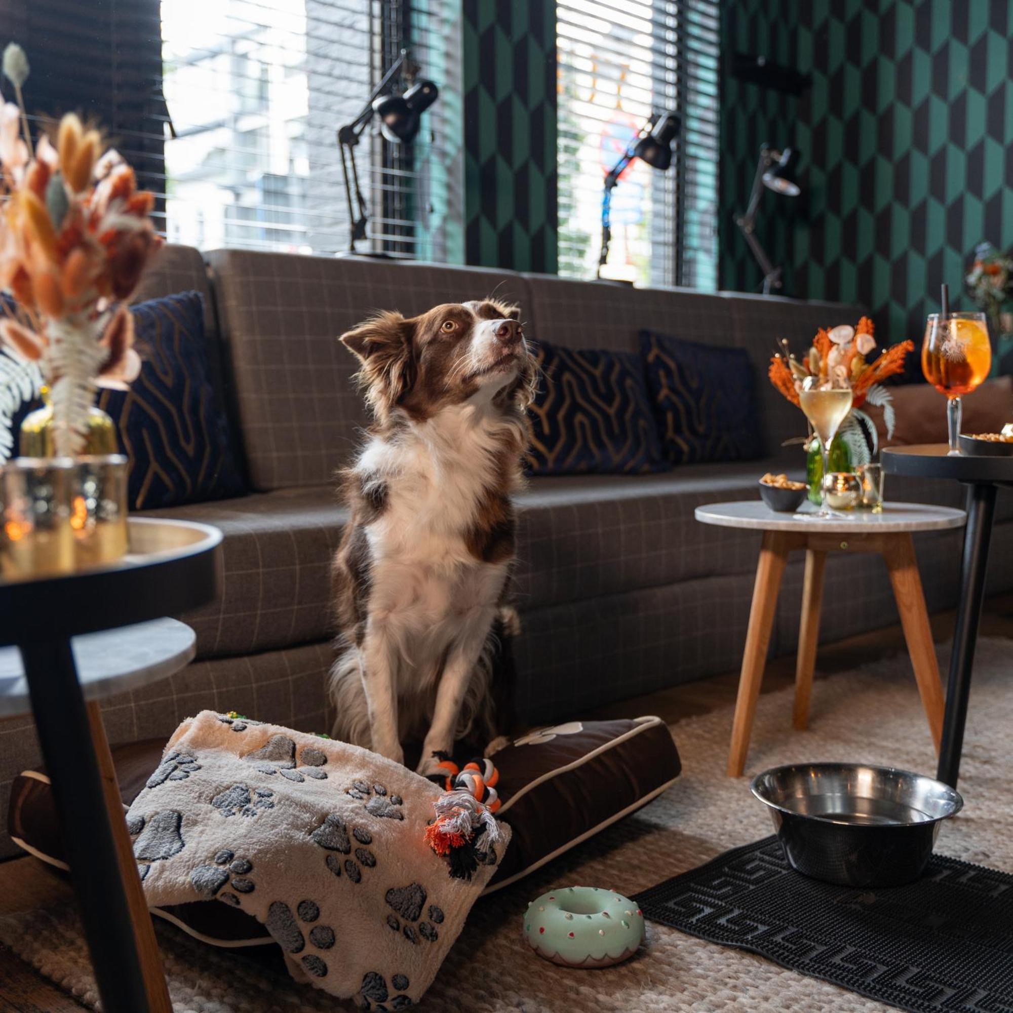 Ibis Styles Hasselt City Centre Zewnętrze zdjęcie